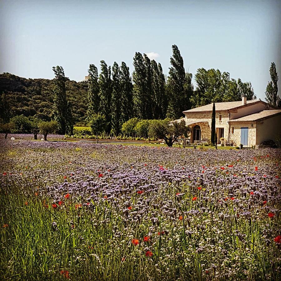 Fontaine De Cerier Bed and Breakfast Castillon-du-Gard Exteriör bild